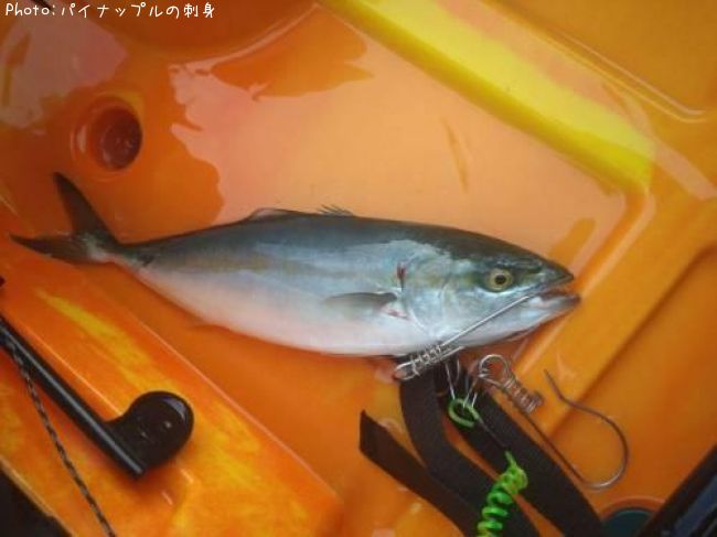 ツバス