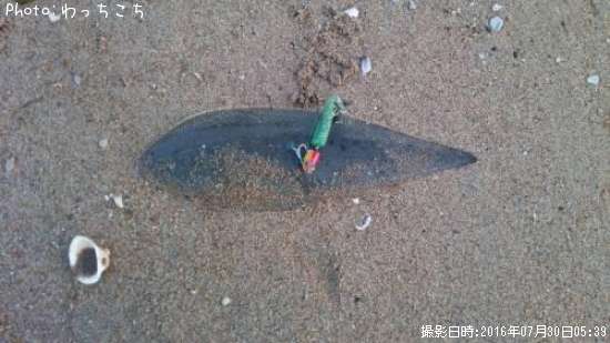 ウシノシタ