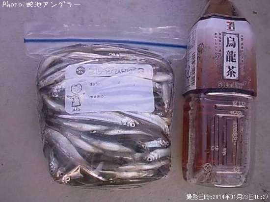 ワカサギ