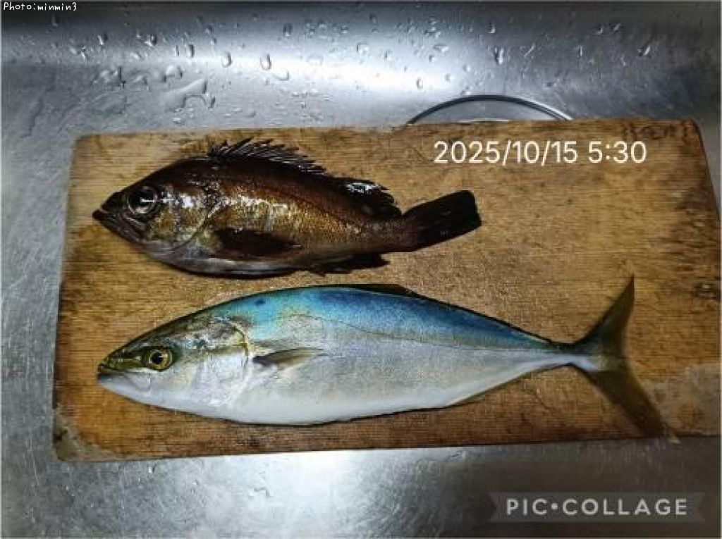 參ȥХ