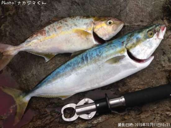 ヤズ&ネイゴ