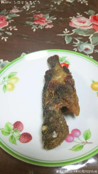 ヨロイメバル