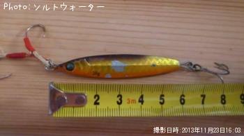 シーバス