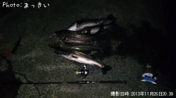 シーバス