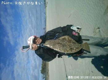 ヒラメ