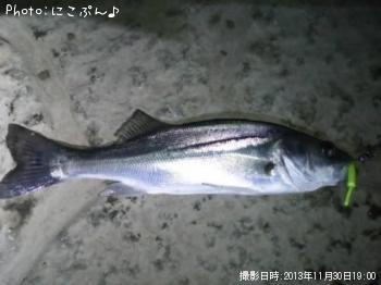 Фʥ