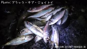 アジ