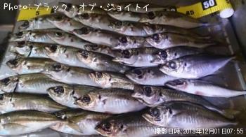 アジ