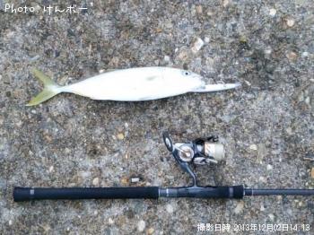 イナダ
