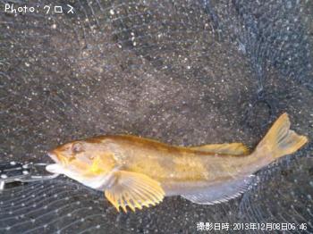 ʥ