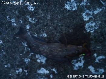 ʥ