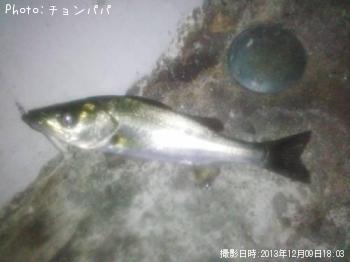 ХʥХ