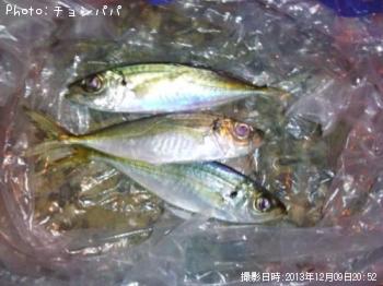 アジ