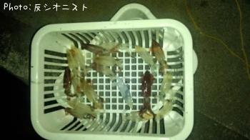 ヒイカ