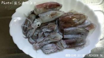 ヒイカ