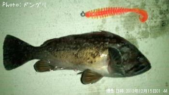 黒ソイ
