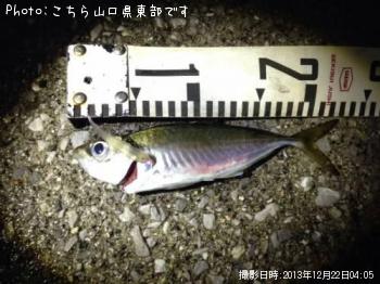 アジ
