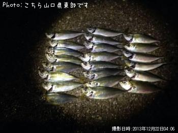 アジ