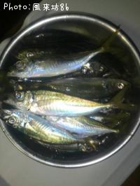 アジ