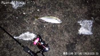 アジ