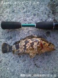 ΥХ