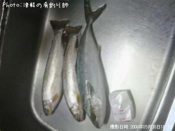 海アメ