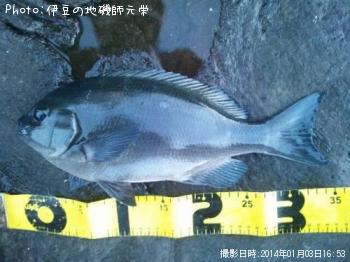 �����᥸��