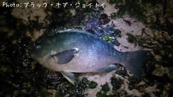 ᥸