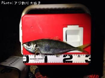 アジ