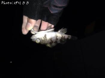 Х
