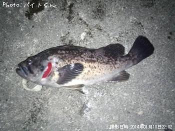 クロソイ
