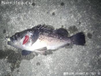クロソイ