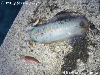 屨±