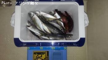 アジ