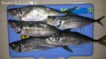アジ