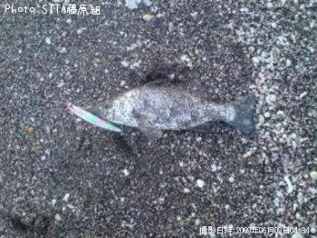 ҥ饹