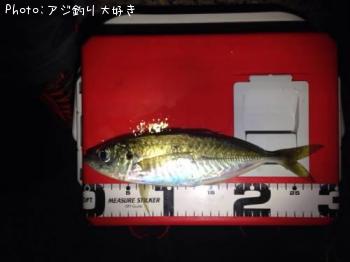 アジ