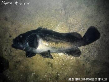 クロソイ