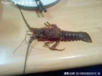 伊勢海老