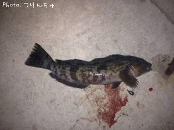 ʥ