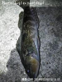 ʥ