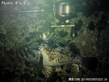 クロソイ