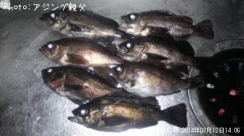 メバル