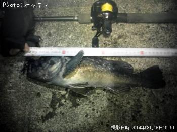 クロソイ