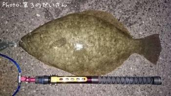 ヒラメ