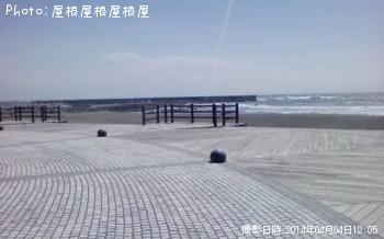 ヒイラギ