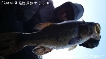 ブラックバス