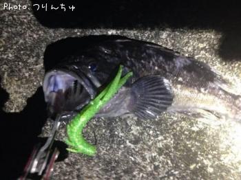 クロソイ