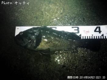 クロソイ