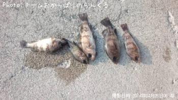 Х뤿